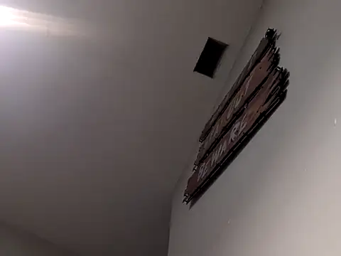 Dogz n daugthers online show from December 3, 2024, 8:00 am