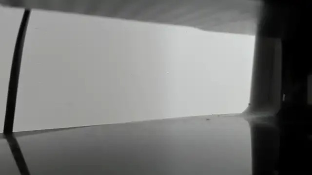 Alejandra Dunn online show from October 3, 2025, 1:23 pm