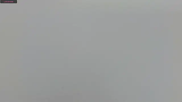 Alejandra Dunn online show from March 15, 2025, 2:34 pm