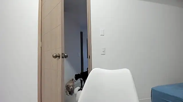 Vera Fernandez online show from November 12, 2025, 10:46 pm