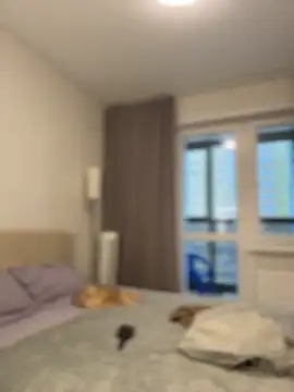 NewLale online show from November 30, 2025, 2:56 am