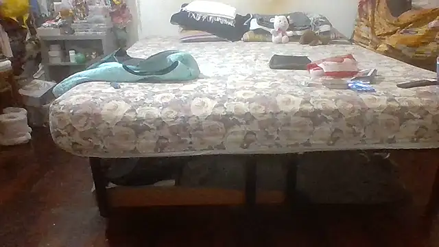 brasiliana49 online show from April 29, 2026, 12:04 am