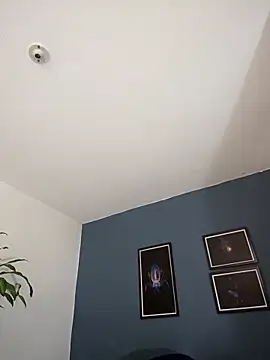 SilvaBranko online show from October 27, 2025, 11:05 pm