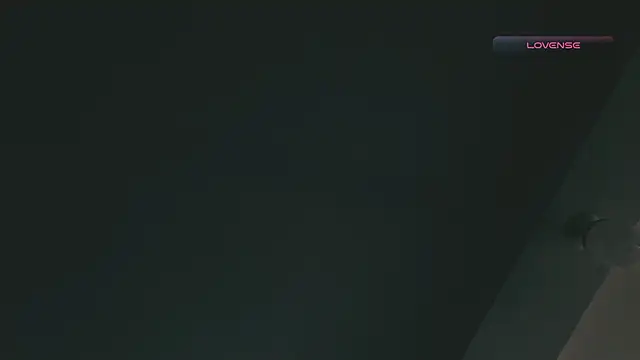 SilvaBranko online show from February 17, 2026, 3:09 pm