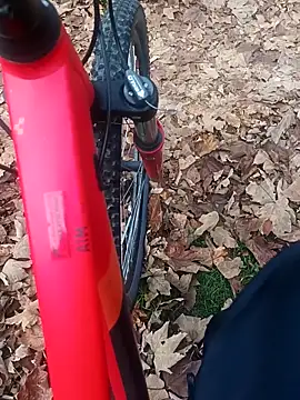 maleesa online show from November 2, 2025, 6:29 am