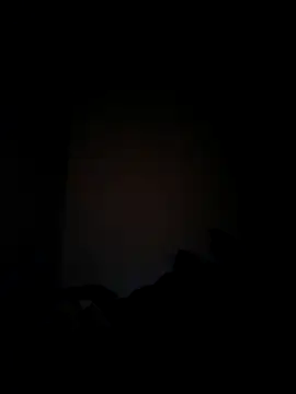 Snapshot of Berinjela20 chatting on February 2, 2026, 5:17 am Berinjela20 online show from February 2, 2026, 5:17 am