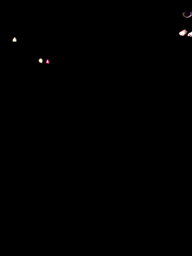 SolitaryMisfit8 online show from March 31, 2026, 4:36 am