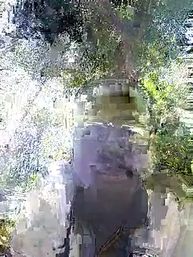 Snapshot of Javan_ chatting on February 4, 2026, 11:05 am Javan online show from February 4, 2026, 11:05 am