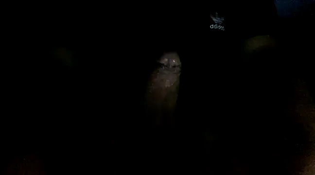 Snapshot of jceszzz chatting on March 4, 2025, 4:06 am jceszzz online show from March 4, 2025, 4:06 am