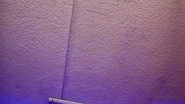 Julieta Russell online show from December 3, 2025, 11:42 am