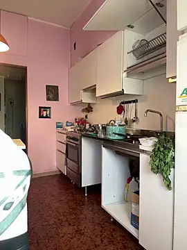 Sunbelxx online show from November 4, 2025, 8:51 am