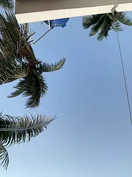 Ishikarana online show from April 14, 2026, 1:43 am