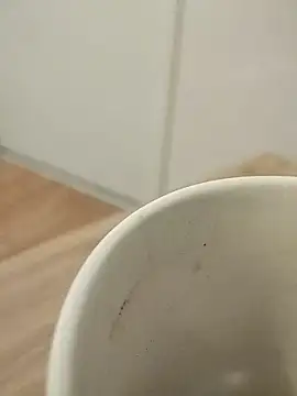 Snapshot of chalaHot chatting on December 10, 2024, 9:01 am chalaHot online show from December 10, 2024, 9:01 am