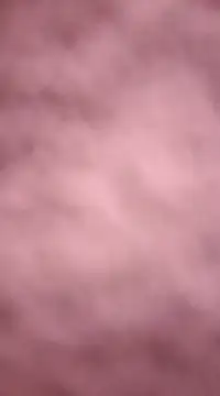 Snapshot of chalaHot chatting on December 21, 2024, 11:24 pm chalaHot online show from December 21, 2024, 11:24 pm