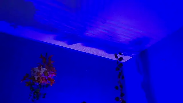 Hellen dumont online show from September 11, 2025, 2:22 am