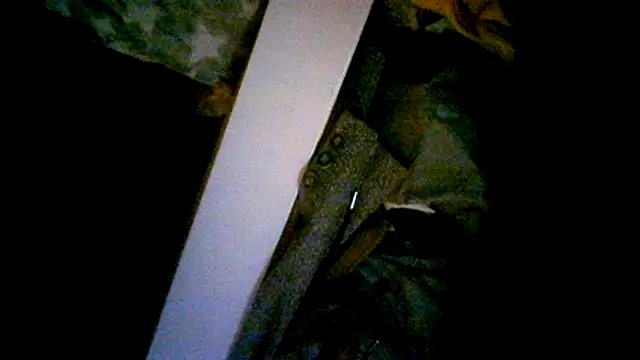 Snapshot of lorena789 chatting on October 27, 2025, 3:40 am lorena789 online show from October 27, 2025, 3:40 am