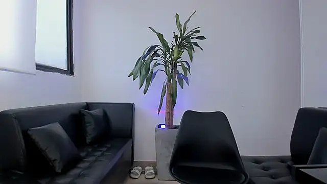 alice greco online show from February 3, 2026, 12:54 pm