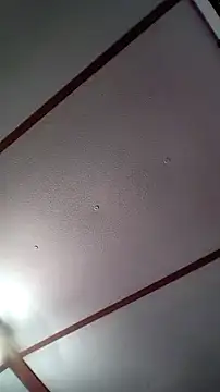 Snapshot of xDestineeXX chatting on December 30, 2024, 2:31 am xDestineeXX online show from December 30, 2024, 2:31 am