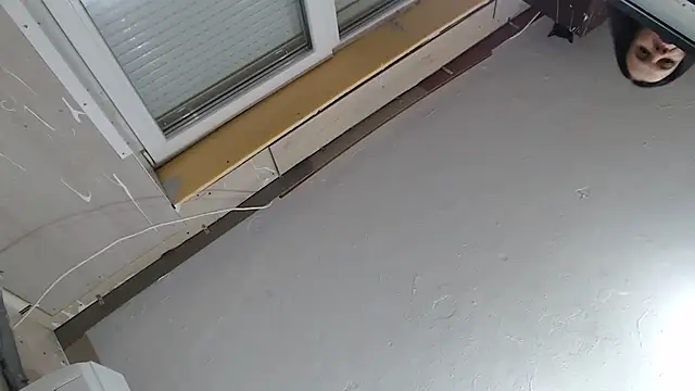 CRISTIINA37 online show from December 1, 2025, 3:24 pm