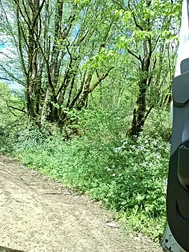 Snapshot of pachapeter chatting on April 16, 2026, 1:12 pm pachapeter online show from April 16, 2026, 1:12 pm