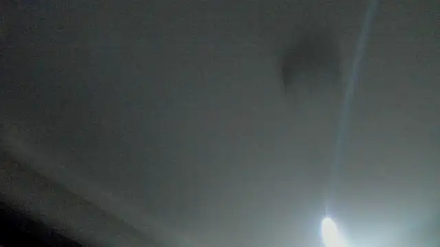 Snapshot of RosaCatalleya chatting on September 23, 2025, 4:08 am RosaCatalleya online show from September 23, 2025, 4:08 am