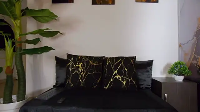 alex noa online show from February 14, 2026, 7:25 pm