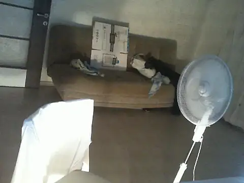 thekeys online show from July 12, 2026, 9:04 pm