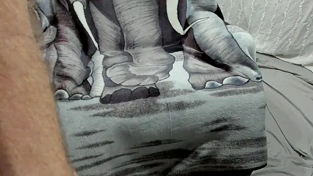 froy4986 online show from February 14, 2026, 7:30 am