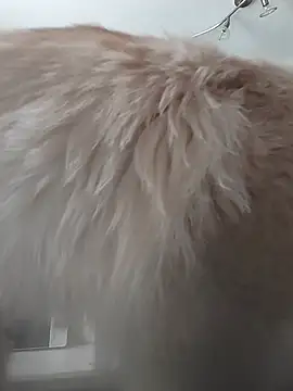 LauraBaby online show from June 2, 2026, 3:34 pm