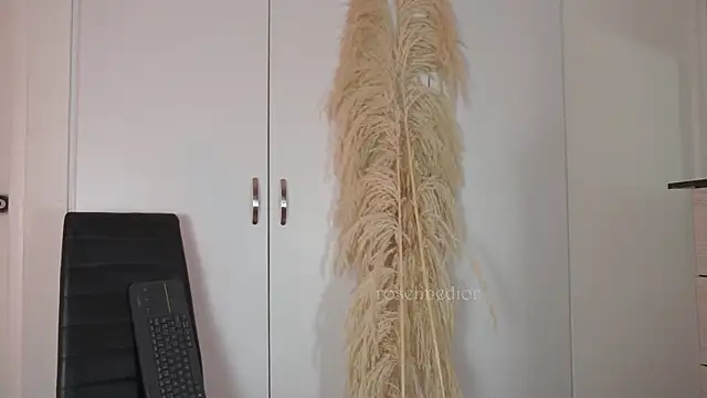 roselinedior online show from October 20, 2025, 2:17 pm