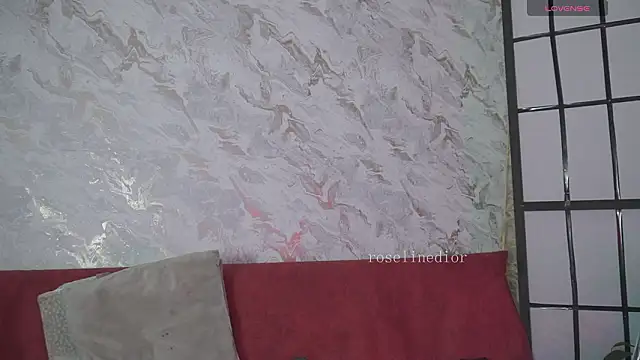 roselinedior online show from March 17, 2026, 2:20 pm