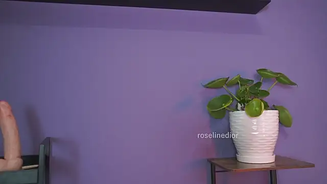 Snapshot of roselinedior chatting on May 26, 2026, 1:31 pm roselinedior online show from May 26, 2026, 1:31 pm