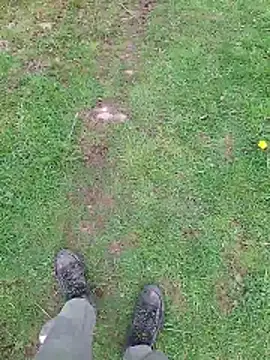 FreezingTie850 online show from April 19, 2026, 10:38 am