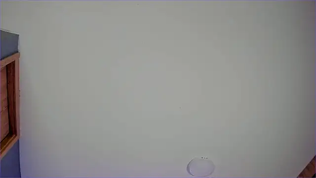 Bambi gurl online show from July 4, 2026, 4:30 am