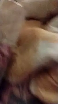 Snapshot of fukurbutt chatting on December 1, 2025, 11:22 am fukurbutt online show from December 1, 2025, 11:22 am