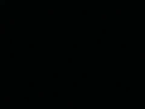 Tigerhill2023 online show from April 25, 2026, 7:33 am