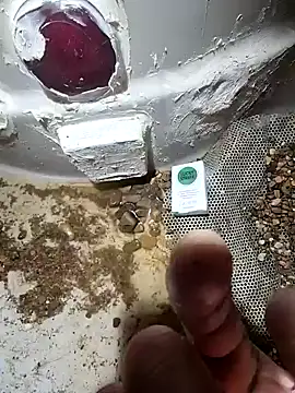 cdressupdiva online show from January 20, 2025, 3:50 pm