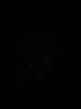 Snapshot of sylviahhh chatting on April 3, 2026, 1:56 am sylviahhh online show from April 3, 2026, 1:56 am