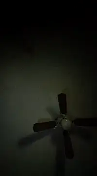 LongDickZee562 online show from December 6, 2024, 10:32 am