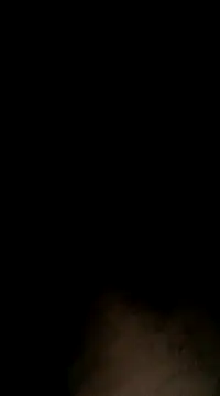 Sergipano fogozinho online show from January 28, 2025, 5:00 am