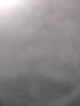 tata laima   online show from October 19, 2025, 4:54 pm