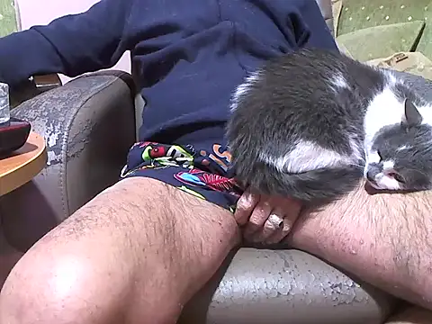 Snapshot of zormen355 chatting on April 8, 2026, 7:48 pm zormen355 online show from April 8, 2026, 7:48 pm