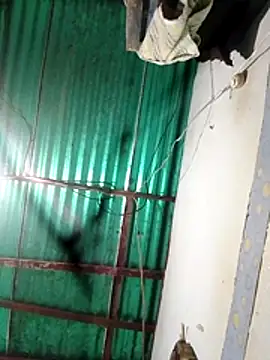 Snapshot of Camuss30 chatting on October 29, 2025, 1:48 am Camuss30 online show from October 29, 2025, 1:48 am