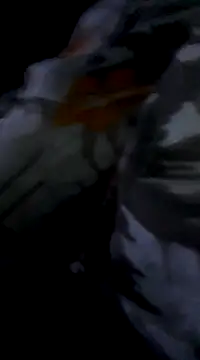 Bite spectaculaire online show from February 3, 2025, 1:19 am