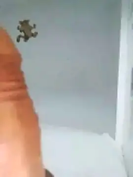 MATTIS11 online show from October 22, 2025, 11:47 pm