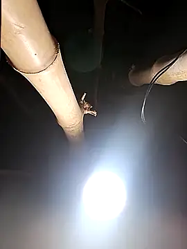 HotSexyBoudi online show from February 26, 2026, 8:25 am