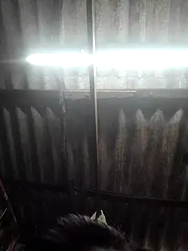 HotSexyBoudi online show from November 26, 2025, 8:58 am