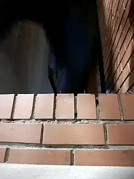 Snapshot of Petrossa chatting on November 24, 2025, 12:21 am Petrossa online show from November 24, 2025, 12:21 am