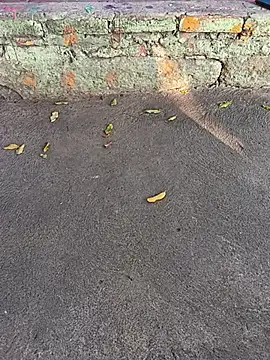 Snapshot of Nathan_mason_ chatting on March 10, 2025, 9:40 pm Nathan mason online show from March 10, 2025, 9:40 pm