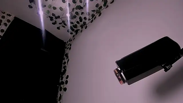 Snapshot of Young_laroi chatting on February 19, 2025, 8:12 am Young laroi online show from February 19, 2025, 8:12 am